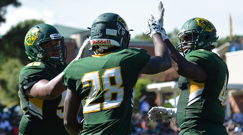 Methodist players high-five each other at a home game. (Photo by Dave Hilbert, d3photography.com)